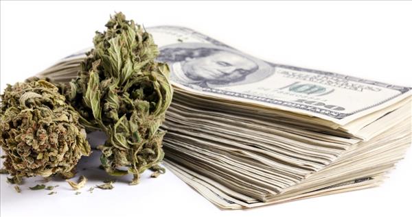 Software startp grabs pole position in the marijuana industry